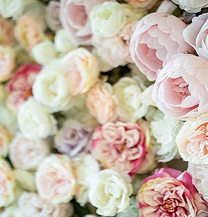 Colorful arrangement of various blooming flowers.